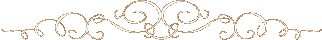 ؂C[W