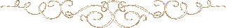 ؂C[W